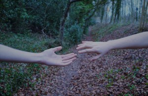 All's Fair background image